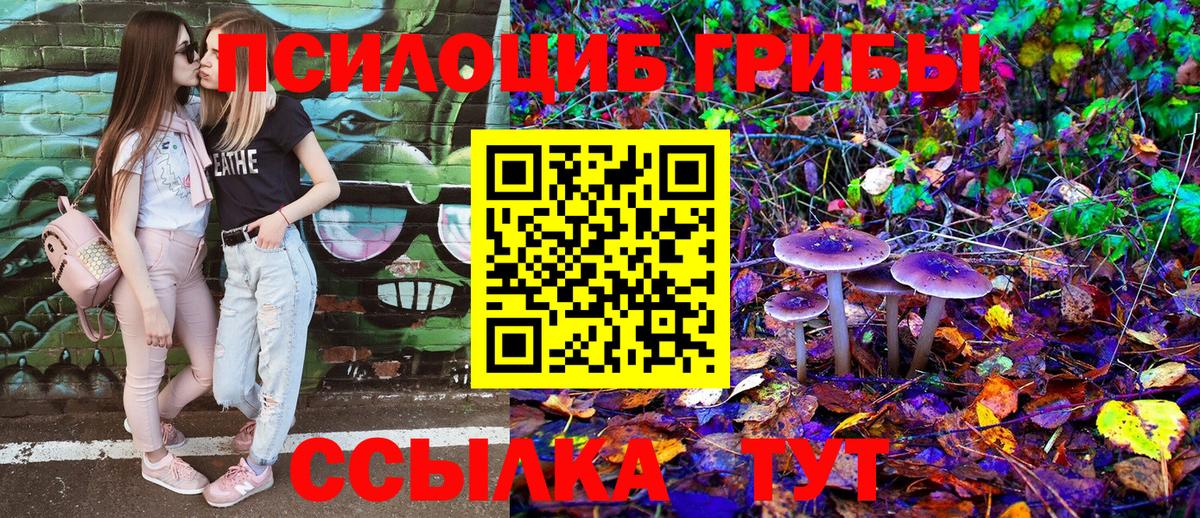 Галлюциногенные грибы прущие грибы Красный Сулин