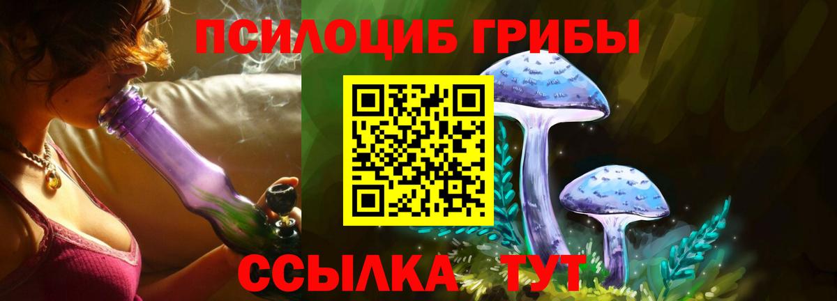 Красный Сулин  Псилоцибиновые грибы GOLDEN TEACHER  Вход с VPN 